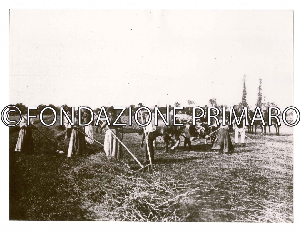 Sciopero-1907-La-cavalleria-protegge-i-crumiri-nei-campi